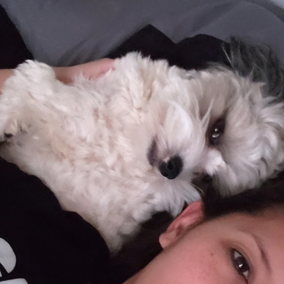 Meet your Posher, Chazzy 💚 - Picture 5 of 9